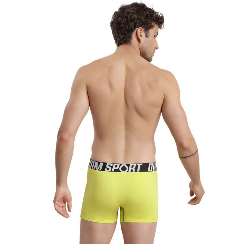 DIM 3 Boxers Homme Coton STRETCHSPORT Granit Bleu berlin Tilleul