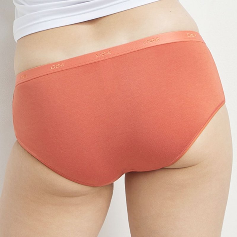 DIM 5 Boxers Femme Coton POCKETS Blanc Beige Auberg Terre Noir