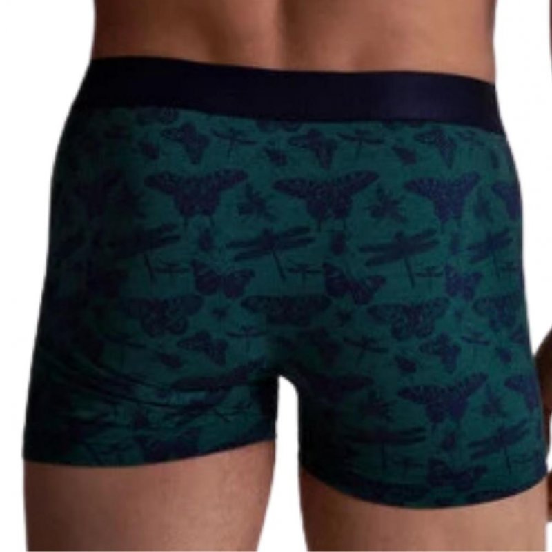 AUBADEMEN Lot de 2 Boxers Homme Coton Modal DUO LIBL Vert Bleu