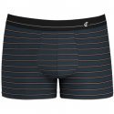 EMINENCE Boxer Homme Modal MICROMODAL Rayures Gris