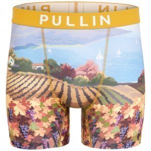 PULL IN Boxer Long Homme Microfibre CEPAGE Beige Ciel