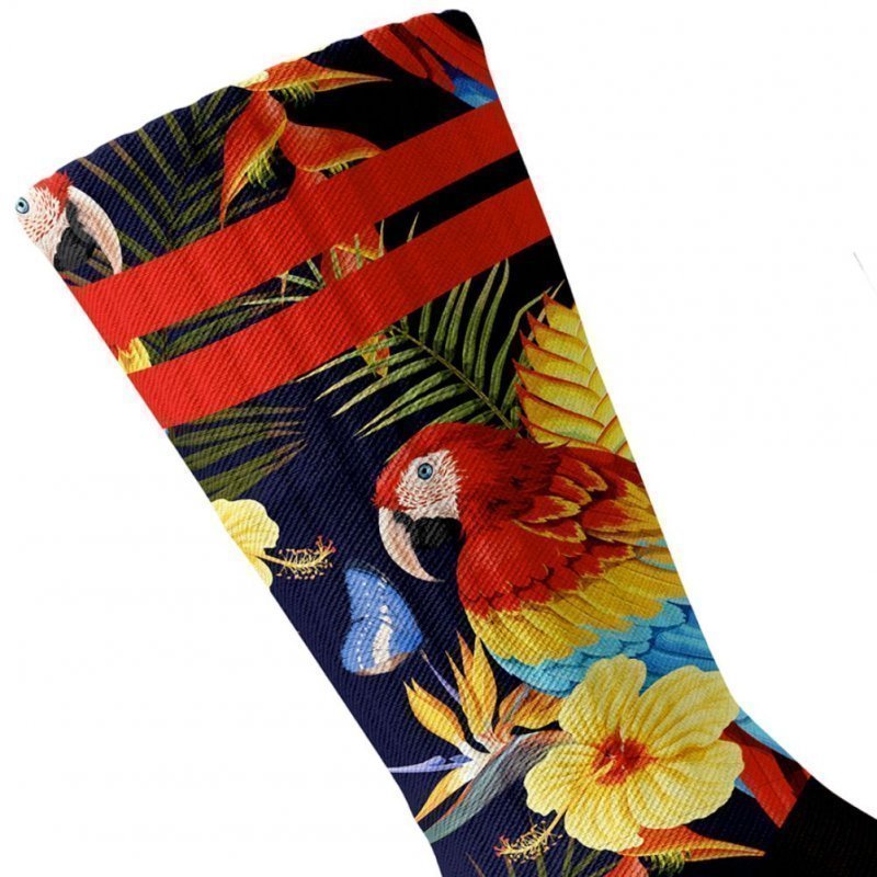 Chaussettes Homme COLORFULL Bleu et Multicolore