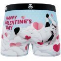 Boxer Homme APO Bleu et Ciel