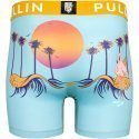 PULL IN Boxer Long Homme Microfibre FLAMINGOS Ciel