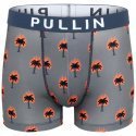 PULL IN Boxer Homme Microfibre BURNING Gris