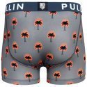 PULL IN Boxer Homme Microfibre BURNING Gris