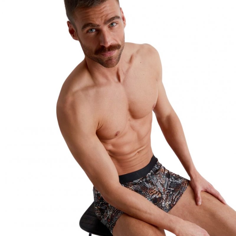 Boxer Homme OWLS Gris et Multicolore