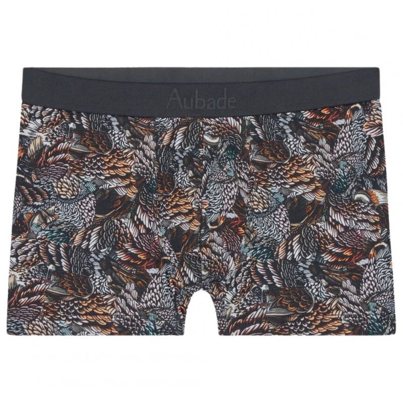 Boxer Homme OWLS Gris et Multicolore