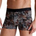 Boxer Homme OWLS Gris et Multicolore