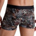 Boxer Homme OWLS Gris et Multicolore