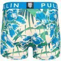 PULL IN Boxer Homme Microfibre HIOA Bleu Beige