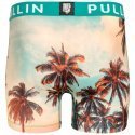 PULL IN Boxer Long Homme Microfibre LOGCABINS Beige Bleu