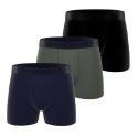 Lot de 3 Boxers homme Coton Noir/Bleu/Vert Uni - Pierrecardin