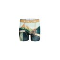 Boxer homme Polyester Vert/Bleu/Blanc/Jaune/Beige/Rouge Imprimé - Pull In