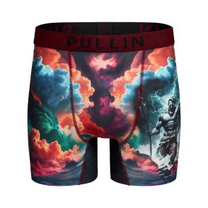 Boxer homme Polyester Noir/Rouge/Orange/Bleu/Vert/Rose Imprimé - Pull In