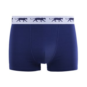 Lot de 5 Boxers homme Coton Bleu/Vert/Noir/Gris Uni - Airness