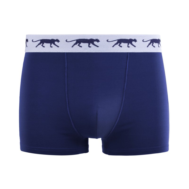 Lot de 5 Boxers homme Coton Bleu/Vert/Noir/Gris Uni - Airness