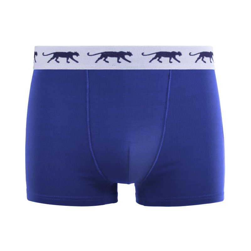 Lot de 5 Boxers homme Coton Bleu/Vert/Noir/Gris Uni - Airness