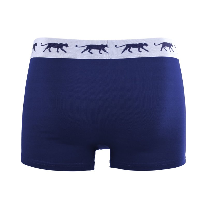 Lot de 5 Boxers homme Coton Bleu/Vert/Noir/Gris Uni - Airness