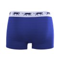 Lot de 5 Boxers homme Coton Bleu/Vert/Noir/Gris Uni - Airness
