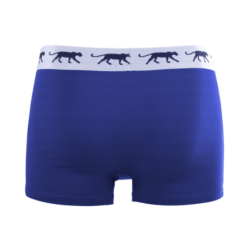 Lot de 5 Boxers homme Coton Bleu/Vert/Noir/Gris Uni - Airness