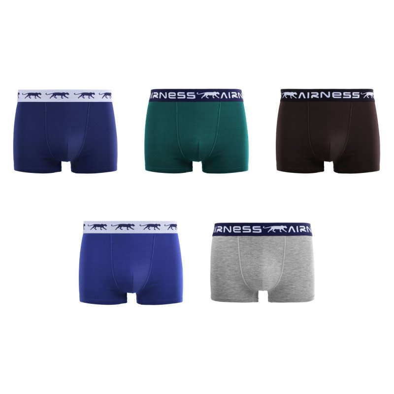 Lot de 5 Boxers homme Coton Bleu/Vert/Noir/Gris Uni - Airness