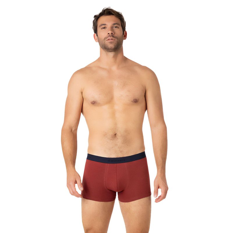 Lot de 2 Boxers homme Coton Rouge brique/Bleu marine/Blanc Uni - Eminence