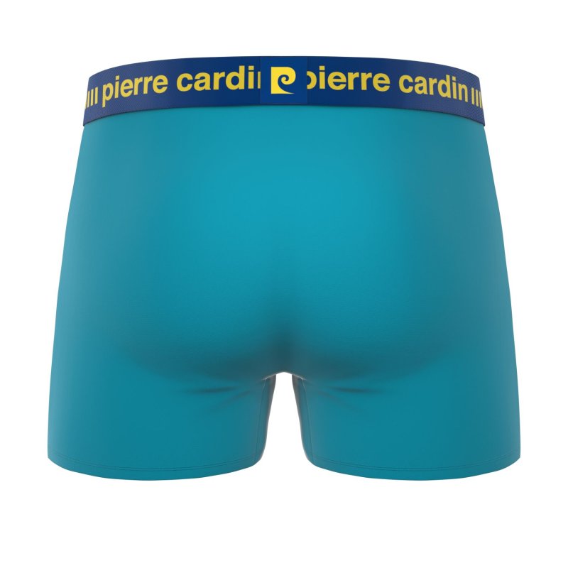 Lot de 4 Boxers homme Polyester Rose/Noir/Turquoise/Jaune/Bleu foncé Uni - Pierrecardin