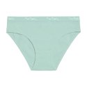 Lot de 3 Slips femme Coton Vert Uni - Pierrecardin