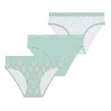 Lot de 3 Slips femme Coton Vert Uni - Pierrecardin
