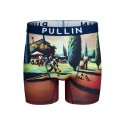 Boxer homme Polyester Vert/Marron/Bleu Imprimé - Pull In