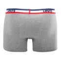 Lot de 2 boxers homme Coton Gris/Bleu- Levis